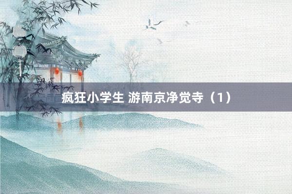 疯狂小学生 游南京净觉寺（1）