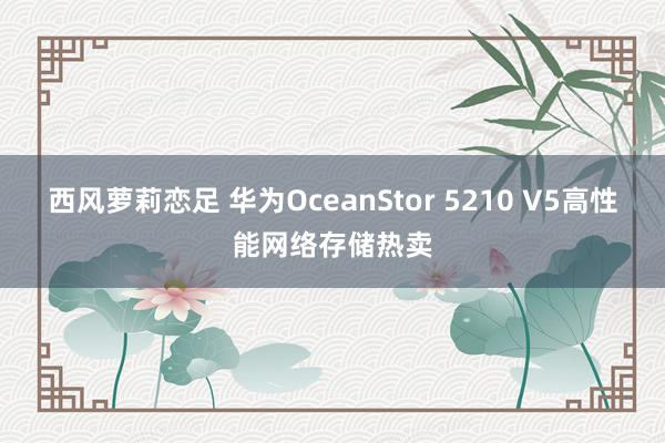 西风萝莉恋足 华为OceanStor 5210 V5高性能网络存储热卖