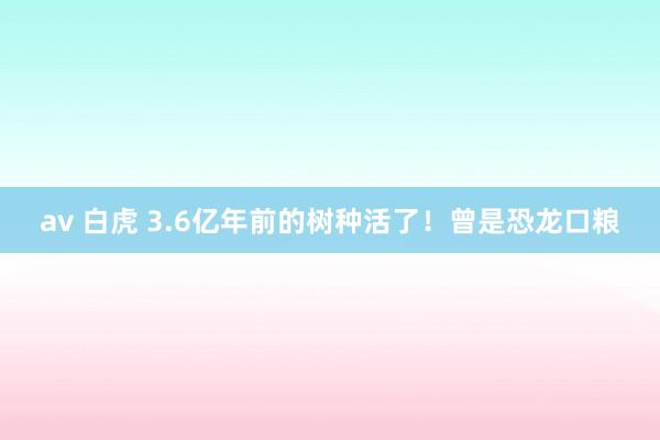 av 白虎 3.6亿年前的树种活了！曾是恐龙口粮