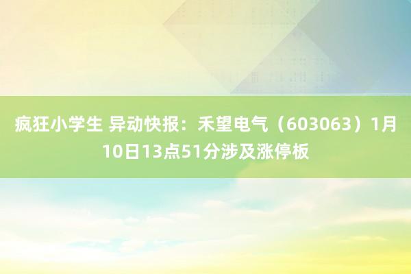 疯狂小学生 异动快报：禾望电气（603063）1月10日13点51分涉及涨停板