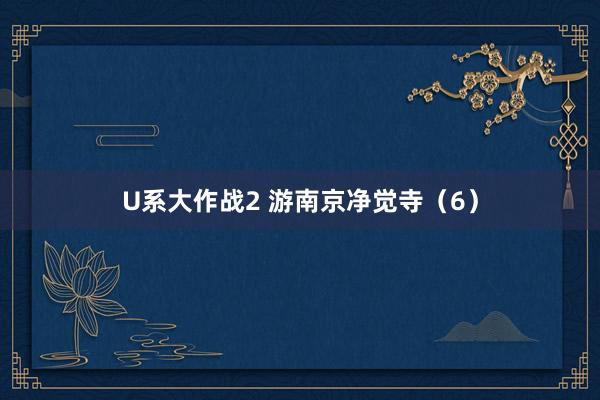 U系大作战2 游南京净觉寺（6）