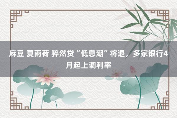 麻豆 夏雨荷 猝然贷“低息潮”将退，多家银行4月起上调利率
