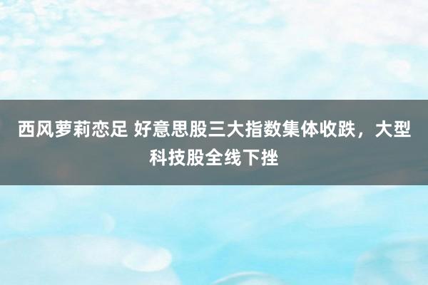 西风萝莉恋足 好意思股三大指数集体收跌，大型科技股全线下挫