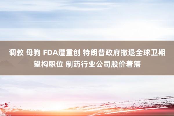 调教 母狗 FDA遭重创 特朗普政府撤退全球卫期望构职位 制药行业公司股价着落