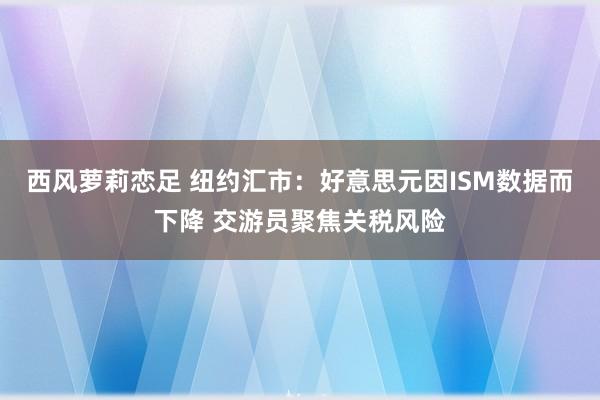 西风萝莉恋足 纽约汇市：好意思元因ISM数据而下降 交游员聚焦关税风险