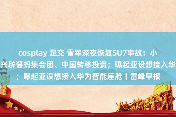 cosplay 足交 雷军深夜恢复SU7事故：小米不会规避；宇树王兴兴辟谣蚂集会团、中国转移投资；曝起亚设想接入华为智能座舱丨雷峰早报