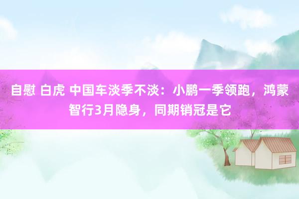 自慰 白虎 中国车淡季不淡：小鹏一季领跑，鸿蒙智行3月隐身，同期销冠是它