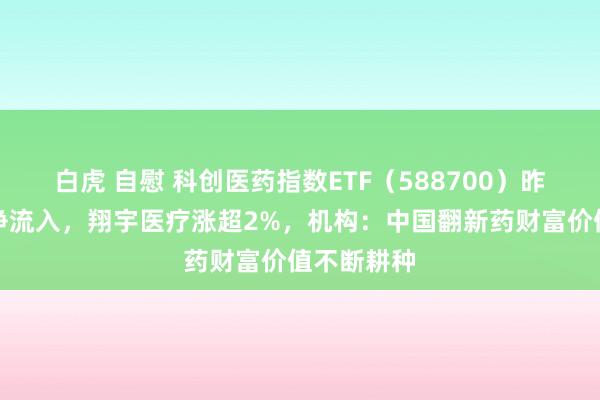 白虎 自慰 科创医药指数ETF（588700）昨日获资金净流入，翔宇医疗涨超2%，机构：中国翻新药财富价值不断耕种