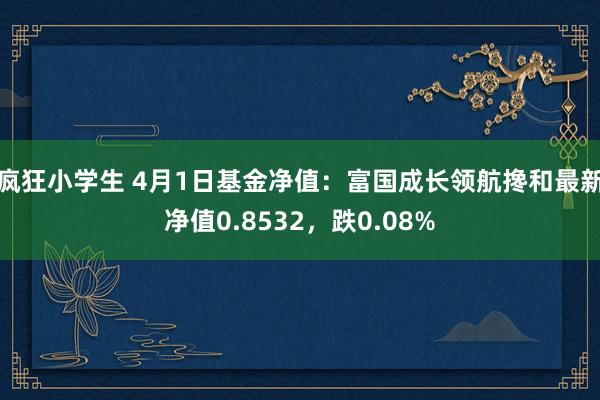 疯狂小学生 4月1日基金净值：富国成长领航搀和最新净值0.8532，跌0.08%
