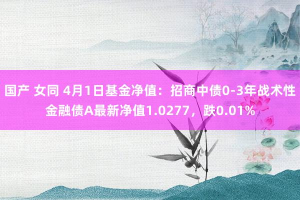 国产 女同 4月1日基金净值：招商中债0-3年战术性金融债A最新净值1.0277，跌0.01%