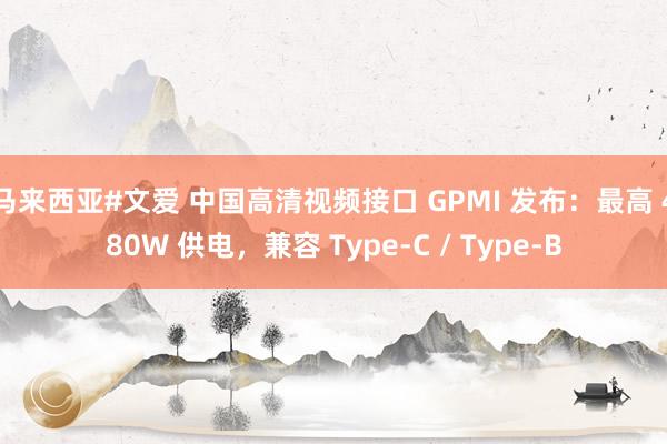 马来西亚#文爱 中国高清视频接口 GPMI 发布：最高 480W 供电，兼容 Type-C / Type-B