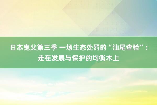 日本鬼父第三季 一场生态处罚的“汕尾查验”：走在发展与保护的均衡木上