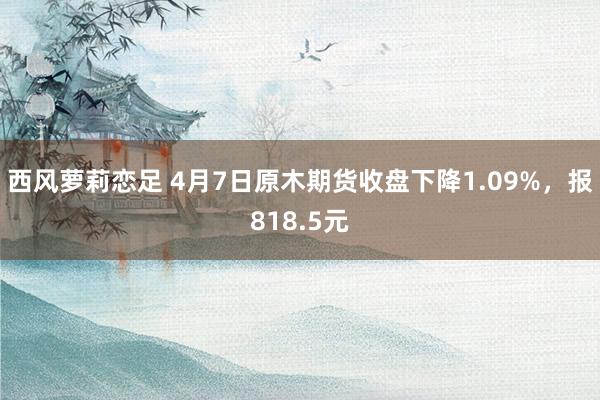西风萝莉恋足 4月7日原木期货收盘下降1.09%，报818.5元