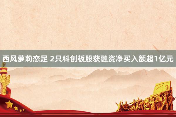 西风萝莉恋足 2只科创板股获融资净买入额超1亿元