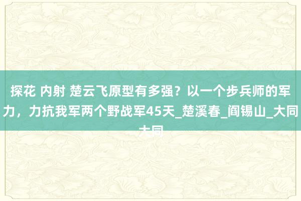 探花 内射 楚云飞原型有多强？以一个步兵师的军力，力抗我军两个野战军45天_楚溪春_阎锡山_大同