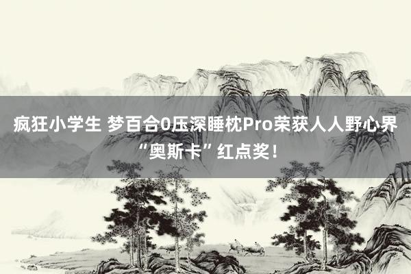 疯狂小学生 梦百合0压深睡枕Pro荣获人人野心界“奥斯卡”红点奖！