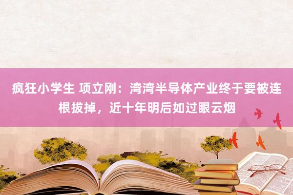 疯狂小学生 项立刚：湾湾半导体产业终于要被连根拔掉，近十年明后如过眼云烟