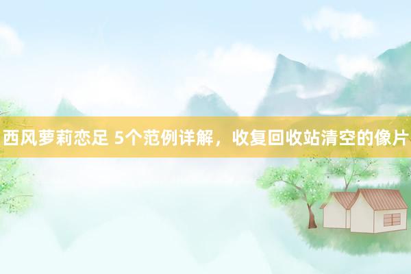西风萝莉恋足 5个范例详解，收复回收站清空的像片