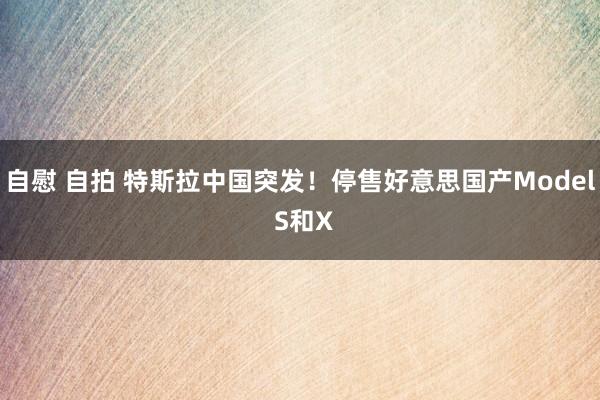 自慰 自拍 特斯拉中国突发！停售好意思国产Model S和X