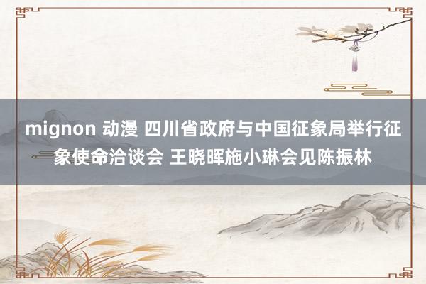 mignon 动漫 四川省政府与中国征象局举行征象使命洽谈会 王晓晖施小琳会见陈振林
