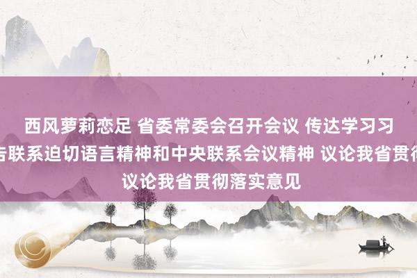 西风萝莉恋足 省委常委会召开会议 传达学习习近平总文告联系迫切语言精神和中央联系会议精神 议论我省贯彻落实意见