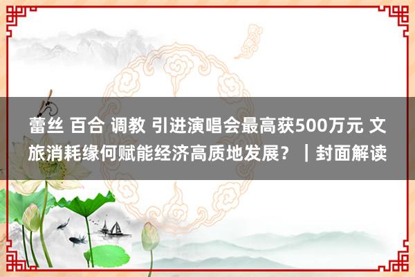 蕾丝 百合 调教 引进演唱会最高获500万元 文旅消耗缘何赋能经济高质地发展？｜封面解读