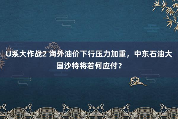 U系大作战2 海外油价下行压力加重，中东石油大国沙特将若何应付？