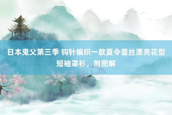 日本鬼父第三季 钩针编织一款夏令蕾丝漂亮花型短袖罩衫，附图解