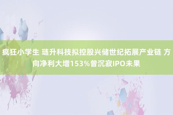 疯狂小学生 琏升科技拟控股兴储世纪拓展产业链 方向净利大增153%曾沉寂IPO未果