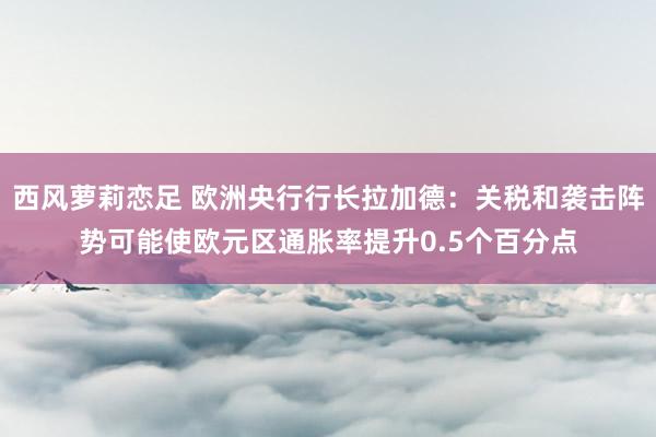 西风萝莉恋足 欧洲央行行长拉加德：关税和袭击阵势可能使欧元区通胀率提升0.5个百分点