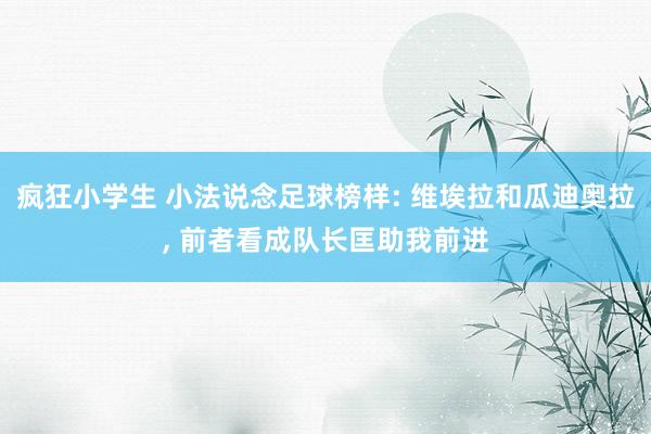 疯狂小学生 小法说念足球榜样: 维埃拉和瓜迪奥拉， 前者看成队长匡助我前进
