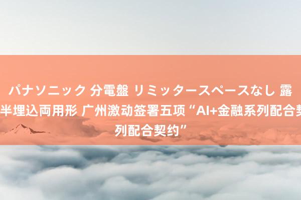 パナソニック 分電盤 リミッタースペースなし 露出・半埋込両用形 广州激动签署五项“AI+金融系列配合契约”