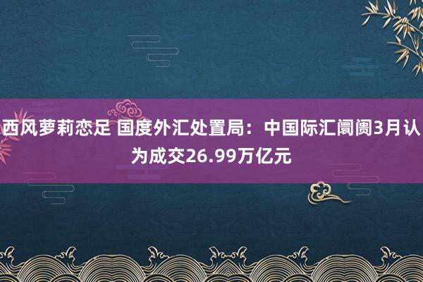 西风萝莉恋足 国度外汇处置局：中国际汇阛阓3月认为成交26.99万亿元