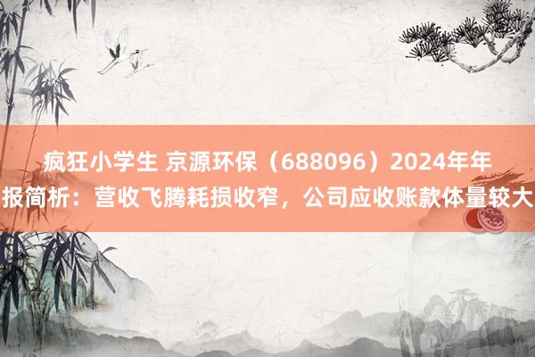 疯狂小学生 京源环保（688096）2024年年报简析：营收飞腾耗损收窄，公司应收账款体量较大