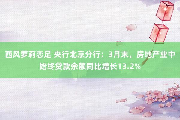西风萝莉恋足 央行北京分行：3月末，房地产业中始终贷款余额同比增长13.2%